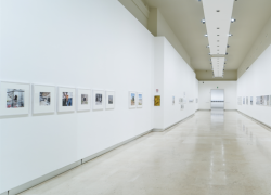 Terna, premio di fotografia 'Driving Energy 2023' attraverso metaverso e virtual tour del Palazzo delle Esposizioni di Roma