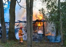 Incendi in Grecia, trovati i cadaveri di 18 migranti morti carbonizzati nella foresta di Dadia