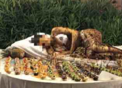 Golfo Aranci, donna in bikini ricoperta di cioccolato nel buffet dell'hotel "Voi Colonna Village", bufera sui social 