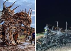 Drago Vaia, incendio a Lavarone distrugge l'opera di Marco Martalar: ipotesi rogo doloso - VIDEO