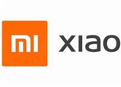 Xiaomi, dalla telefonia alle auto elettriche: via libera del governo cinese, 10.000 unità previste entro il 2024