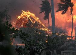 Incendi a Maui, Hawaii, fatalità o crimine premeditato? Lahaina vittima del Great Reset, Klaus Schwab la mente dietro