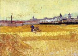 "Tramonto: campi di grano vicino ad Arles", in Provenza Vincent van Gogh trova la luce del mezzogiorno