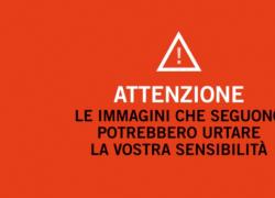 Strage Brandizzo, il VIDEO CHOC del treno che ha travolto gli operai: il fischio, la frenata e la tragedia