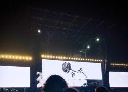Non si placano  le polemiche per il Concerto di Liberato in piazza Plebiscito.  A chi è piaciuto…malgrado tanti intoppi
