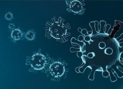 Long Covid, "ricerche approssimative, immotivata ansia di soffrirne causata da media e medici" - lo STUDIO su Bmj