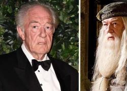 Addio a Michael Gambon, morto a 82 anni Albus Silente di "Harry Potter", l'attore aveva contratto una polmonite
