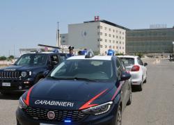Pavia, preso a sassate e bullizzato da coetanei, 14enne ricoverato per trauma cranico: "Tormentato da mesi"