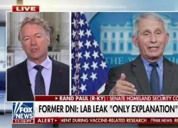 Covid, Rand Paul: "Fauci ha insabbiato l'origine del virus in laboratorio per 3 anni, lo sapeva dal 2020" - VIDEO