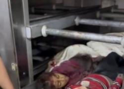 Gaza tra il genocidio e la strage di innocenti: i cadaveri di due bambini all'obitorio, un'immagine straziante