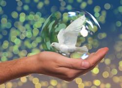 Due stati e due popoli, la sola soluzione percorribile per Israele e Palestina. Lo ammette perfino Bergoglio 
