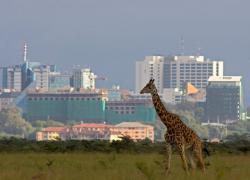 Lonely Planet scrive la nuova guida con i 50 luoghi top da visitare nel 2024