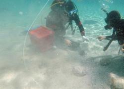 Arzachena, ritrovamento in mare di 50mila monete antiche del IV secolo d.C. Scoperte in Sardegna da un sub durante immersione a 10 metri - GALLERY