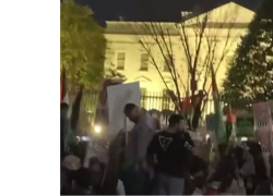 Washington, manifestazione pro-Palestina davanti alla Casa Bianca, in 30mila a chiedere il 'cessate il fuoco': "Fottu** codardi" - VIDEO