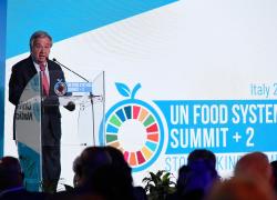 Guterres: "A Gaza un cimitero di bambini e record di cronisti uccisi". Affermazione difficilmente smentibile