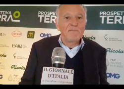 Girelli (OMG): "Prospettiva Terra nacque 3 anni fa da un dialogo con Mancuso; ora è una magia tra scienza, imprese e comunicazione"