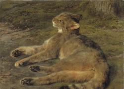  "Gatto Selvaggio" della francese  Rosa Bonheur, tra le figure più rappresentative del primo femminismo