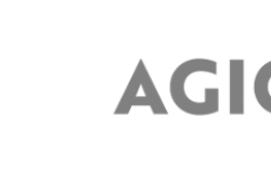 Confindustria, al via AGIC, associazione del settore gioco in concessione, con IGT, Lottomatica, Sisal Italia e Snaitech