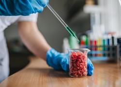 Carne sintetica, Schillaci: "Divieto è segnale di attenzione alla salute, basato sul principio di precauzione. Su carne coltivata nessuna evidenza scientifica"