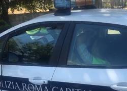 Roma, l'agguato della polizia locale nascosta dietro a una siepe con l'autovelox, senza segnalazione, tre agenti sdraiati in auto - VIDEO