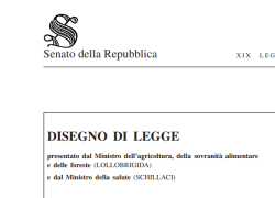 Ddl carne coltivata, Mattarella ha firmato, no alla produzione e all'immissione sul mercato, TESTO trasmesso all'Ue
