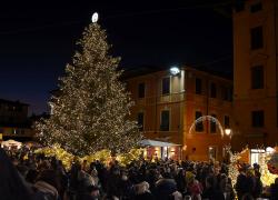 Forte dei Marmi e Pietrasanta respirano già l’atmosfera natalizia: tanti gli eventi in programma per il fine settimana dell’Immacolata