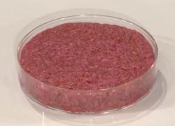 Carne allevata, una nuova espressione della neolingua orwelliana. Si dice sintetica