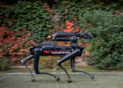 Saetta, il cane robot dei Carabinieri per le operazioni rischiose: cosa fa e come funziona