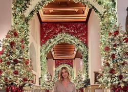 Chiara Ferragni perde oltre 100mila followers dopo i casi del Pandoro Balocco e delle uova di Pasqua 