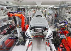 Ingegnere Tesla attaccato da un robot ad Austin, Texas: "Ha affondato gli artigli e lasciato una scia di sangue"