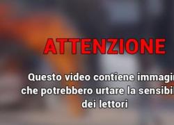 Firenze, anziano picchiato a calci e pugni da un 29enne dopo un rimprovero: “Il cane va tenuto al guinzaglio” - VIDEO