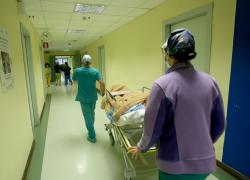 Influenza suina, due morti a Vicenza in poche ore, l'Asl: "Vaccinatevi", ma la Regione spegne l'allarmismo: "Solo un virus influenzale"