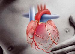 Abruzzo, avviato monitoraggio cardiaco minori 0-14 anni dopo aumento miocarditi e pericarditi