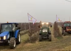 Mobilitazione agricoltori italiani il 22 gennaio, si espande la protesta: "Stop importazioni estere, noi penalizzati dall'UE"