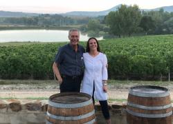 Vino, in Chianti Classico apre l’enolibreria a cura dell’azienda Carpineto 
