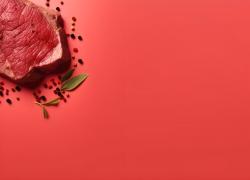 Carne sintetica, Slow Food perentorio: "No assoluto a tavola". Per una giusta battaglia, un'ottima notizia 
