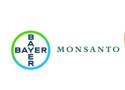Monsanto (Bayer), condannata in tribunale a risarcire $2,3 mld: il glifosato chimico provoca cancro a un agricoltore in Pennsylvania