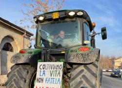 Perché la protesta dei trattori ci riguarda tutti e ciascuno di noi dovrebbe sostenerla