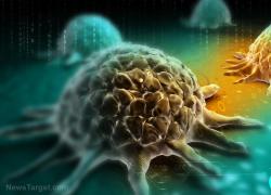 Mezza famiglia reale inglese ha il cancro. Erano tutti forsennatamente provax, ma non preoccupatevi, è solo una coincidenza