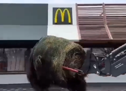 Protesta agricoltori in Francia, McDonald's riempiti di letame e fieno con i trattori: "Importano carne estera" - VIDEO