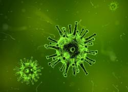 Malattia X, l’Oms avverte: Paesi impreparati alla prossima pandemia. E sgancia la bomba: a Maggio potrebbe essere attivato il protocollo PRET - ESCLUSIVA