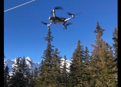 Terna Forward e DXT Commodities, chiuso un round di investimento da €2,8 mln in Wesii; Garri: "Supportiamo le aziende innovative"