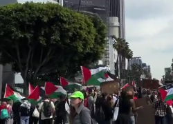 Oscar 2024, proteste pro Palestina al Dolby Theater: "Mentre guardate, a Gaza piovono le bombe, liberatela!" - VIDEO