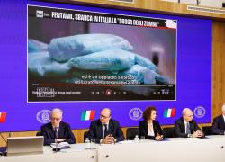 Fentanyl in Italia, piano del governo su "droga degli zombie" per prevenire emergenza: "Interesse della 'Ndrangheta"