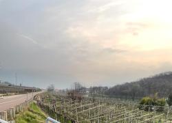 Fleximan "in missione" ad Isera, autovelox distrutto in Trentino con sega circolare,  primo in regione