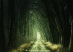 Normativa europea case green, altro che ambiente, l'obiettivo è la valorizzazione del valore a beneficio di qualcuno