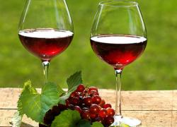 Export di vini italiani Dop, nel 2023 reggono i valori nonostante il calo delle vendite