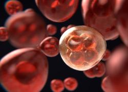 Tumori, il 5% dei casi annui causato da radiazioni emesse dalle Tac, rischio 10 volte maggiore per i neonati - LO STUDIO