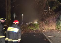 Genova, ancora pioggia e caduta di frane e alberi, bloccata la strada del Turchino in località Fado