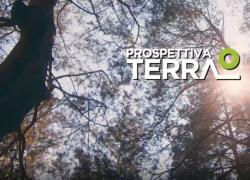 Prospettiva Terra, al via il progetto di monitoraggio delle piante sotto direzione di Stefano Mancuso